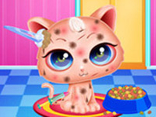 Cute Kitty Care – Pet Makeover