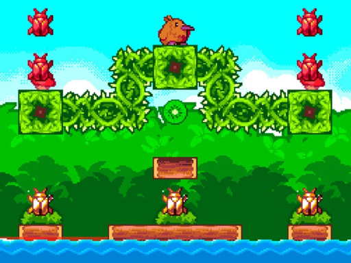Super Kiwi Adventure – 2021
