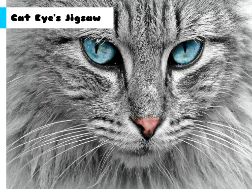 Cat Eye’s Jigsaw